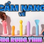Hướng dẫn toàn diện về trứng rung: Từ A đến Z và các sản phẩm hàng đầu năm 2026